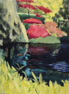 Pool, summer